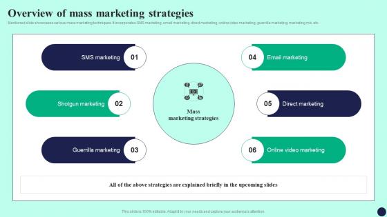 Overview Of Mass Marketing Strategies Detailed Guide To Mass Marketing MKT SS V