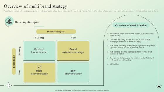 Overview Of Multi Brand Strategy Building A Brand Identity For Companies Ppt Icons