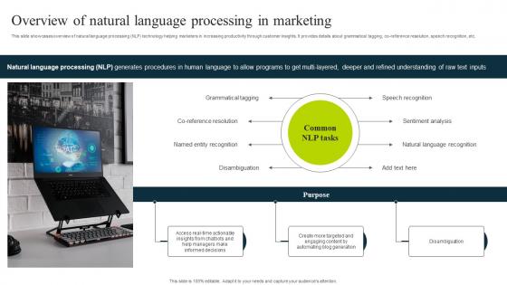 Overview Of Natural Language Processing In Marketing How To Use Chatgpt AI SS V