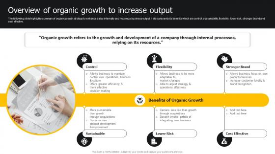 Overview Of Organic Growth To Increase Output Developing Strategies For Business Growth