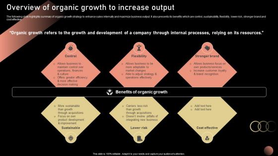 Overview Of Organic Growth To Strategic Plan For Company Growth Strategy SS V