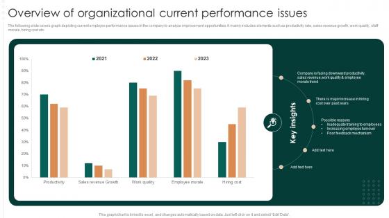 Overview Of Organizational Current Performance Issues Successful Employee Performance