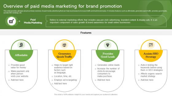 Overview Of Paid Media Marketing For Brand Promotion Effective Paid Promotions MKT SS V