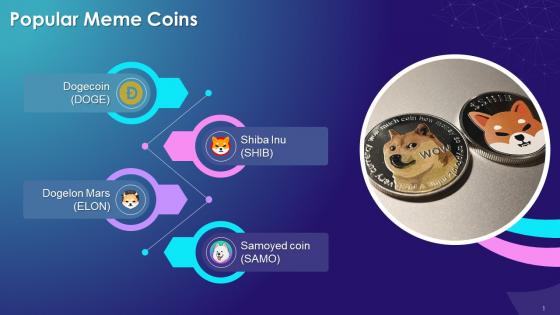 Overview Of Popular Meme Coins Training Ppt