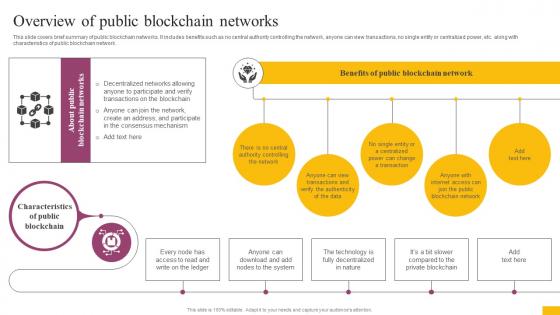 Overview Of Public Blockchain Networks Complete Guide To Understand BCT SS