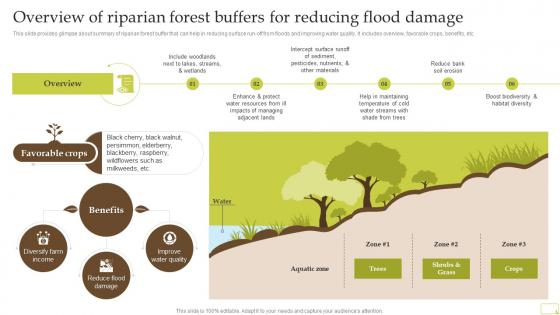 Overview Of Riparian Forest Buffers For Reducing Flood Damage Complete Guide Of Sustainable Agriculture