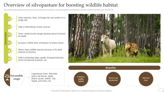 Overview Of Silvopasture For Boosting Wildlife Habitat Complete Guide Of Sustainable Agriculture Practices