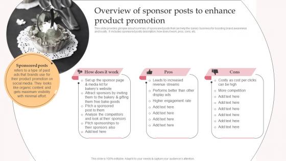 Overview Of Sponsor Posts To Enhance Product Complete Guide To Advertising Improvement Strategy SS V