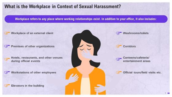 Overview Of The Workplace In The Context Of Sexual Harassment Training Ppt