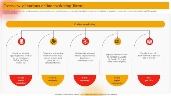 Overview Of Various Online Marketing Forms Online Marketing Plan To Generate Website Traffic MKT SS V