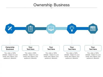 Ownership business ppt powerpoint presentation gallery graphics design cpb