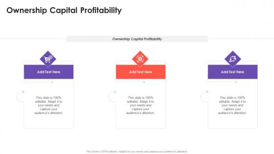 Ownership Capital Profitability In Powerpoint And Google Slides Cpb