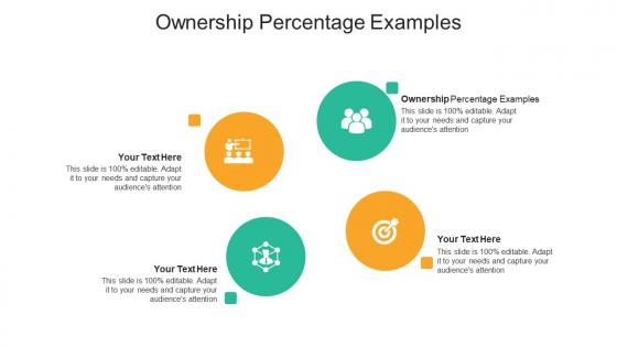 Ownership percentage examples ppt powerpoint presentation infographics design ideas cpb