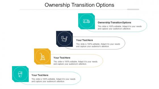 Ownership Transition Options Ppt Powerpoint Presentation Show Cpb