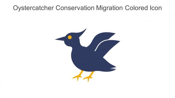 Oystercatcher Conservation Migration Colored Icon In Powerpoint Pptx Png And Editable Eps Format