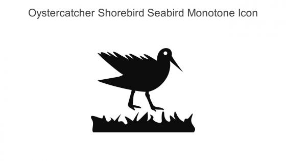 Oystercatcher Shorebird Seabird Monotone Icon In Powerpoint Pptx Png And Editable Eps Format