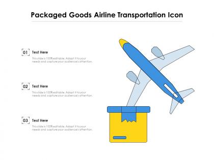 Packaged goods airline transportation icon