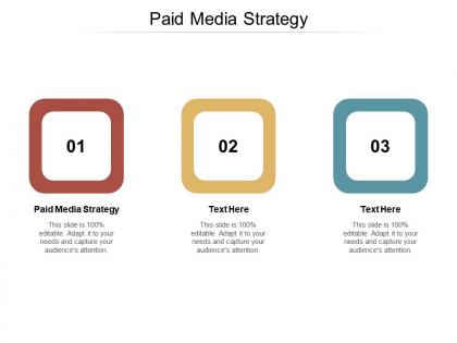 Paid media strategy ppt powerpoint presentation summary design templates cpb