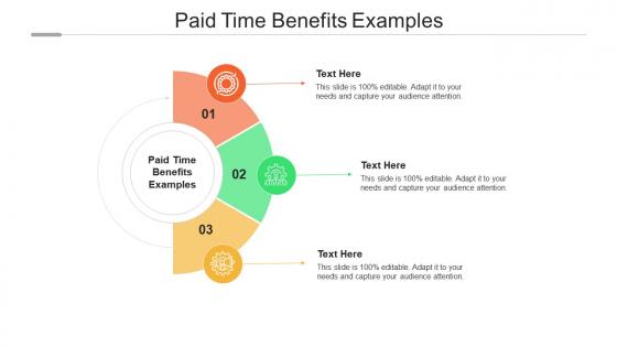 Paid time benefits examples ppt powerpoint presentation portfolio diagrams cpb