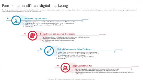 Pain Points In Affiliate Digital Marketing