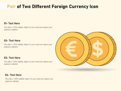 Pair of two different foreign currency icon