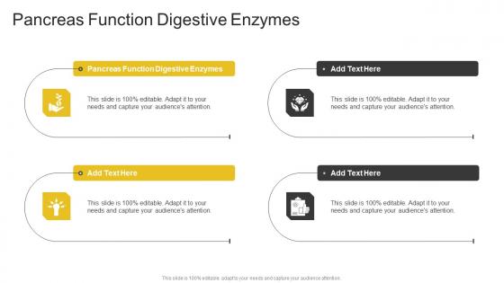 Pancreas Function Digestive Enzymes In Powerpoint And Google Slides Cpb