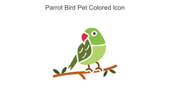 Parrot Bird Pet Colored Icon In Powerpoint Pptx Png And Editable Eps Format