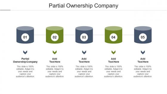 Partial Ownership Company Ppt Powerpoint Presentation Professional Slide Cpb