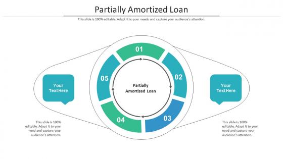 Partially amortized loan ppt powerpoint presentation slides slideshow cpb