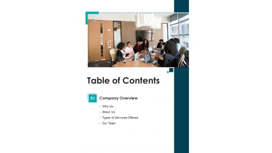 Partner Advertising Strategies Proposal Table Of Contents One Pager Sample Example Document
