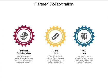 Partner collaboration ppt powerpoint presentation ideas rules cpb