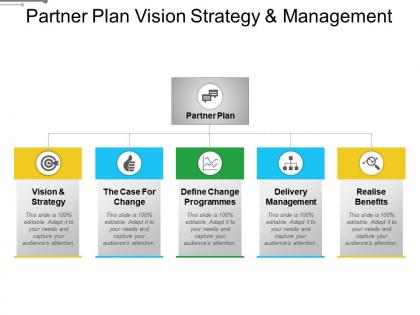 Partner plan vision strategy and management