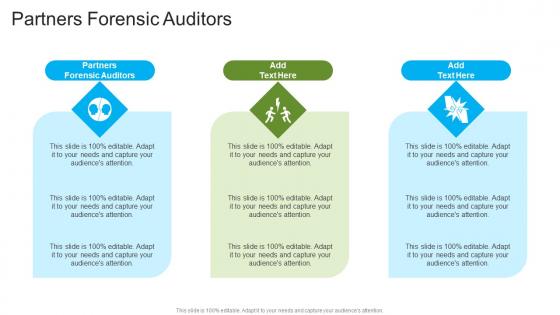 Partners Forensic Auditors In Powerpoint And Google Slides Cpb