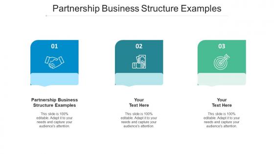 Partnership Business Structure Examples Ppt Powerpoint Presentation Portfolio Format Ideas Cpb