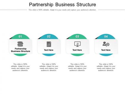 Partnership business structure ppt powerpoint presentation infographic template display cpb