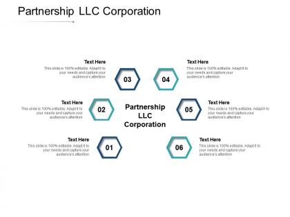 Partnership llc corporation ppt powerpoint presentation pictures topics cpb