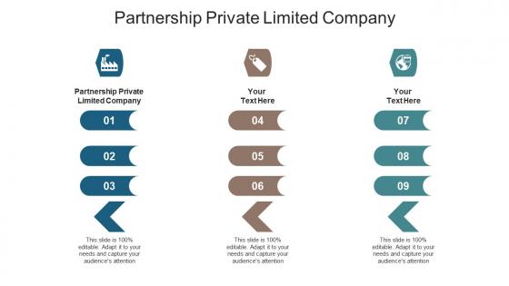Partnership private limited company ppt powerpoint presentation summary design cpb