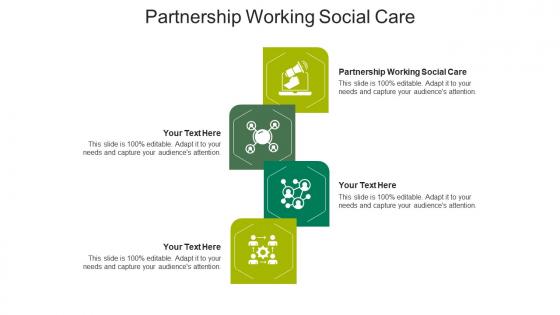 Partnership working social care ppt powerpoint presentation show examples cpb
