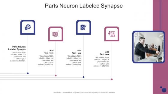 Parts Neuron Labeled Synapse In Powerpoint And Google Slides Cpb
