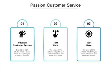 Passion customer service ppt powerpoint presentation file influencers cpb