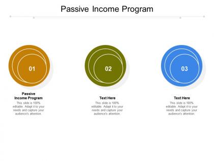 Passive income program ppt powerpoint presentation portfolio slides cpb