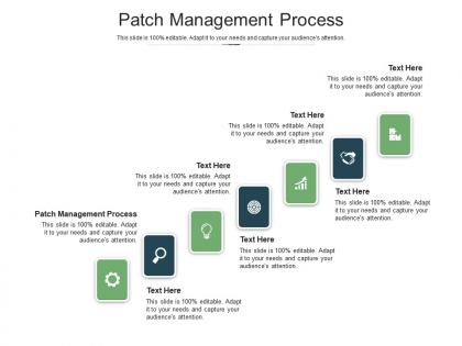 Patch management process ppt powerpoint presentation portfolio templates cpb