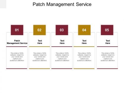 Patch management service ppt powerpoint presentation show portfolio cpb