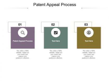 Patent appeal process ppt powerpoint presentation layouts inspiration cpb