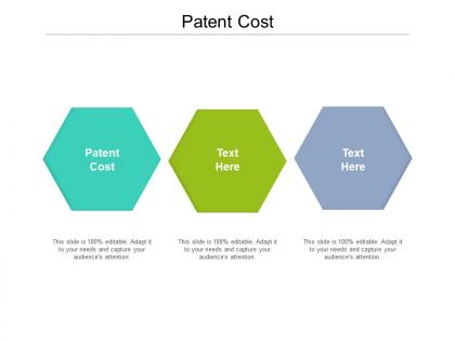 Patent cost ppt powerpoint presentation file outfit cpb