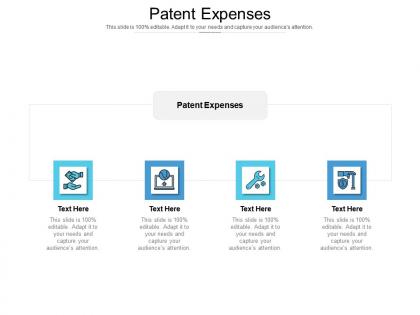 Patent expenses ppt powerpoint presentation slides elements cpb