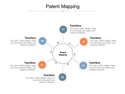 Patent mapping ppt powerpoint presentation professional graphics cpb