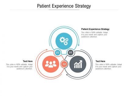 Patient experience strategy ppt powerpoint presentation icon design ideas cpb