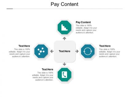 Pay content ppt powerpoint presentation gallery summary cpb
