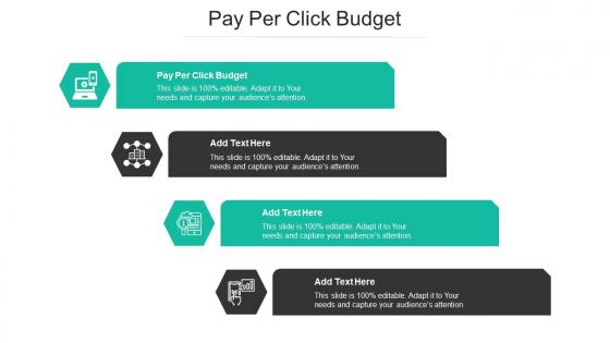 Pay Per Click Budget Ppt Powerpoint Presentation Professional Model Cpb